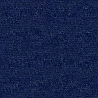 Ковролин Radici Abetone Bleu 2069 фото 1 | FLOORDEALER